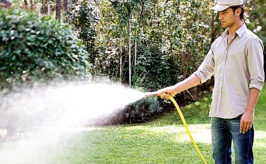 Rüyada Çiçek Sulamak Rüya Yorumu ve Anlamı