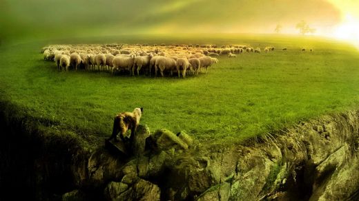 Rüyada Koyun Kesmek Rüya Yorumu ve Anlamı