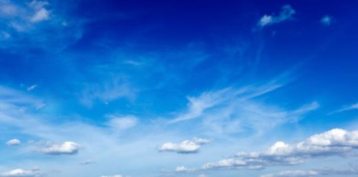 Rüyada Mavi Örümcek Görmek Rüya Yorumu ve Anlamı