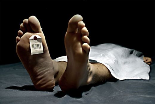 Rüyada Ölü Koyun Görmek Rüya Yorumu ve Anlamı