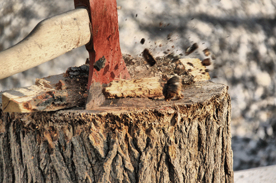 Rüyada Ağaç Kesmek