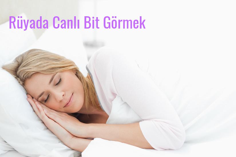 Rüyada Canlı Bit Görmek Ne Anlama Gelir?