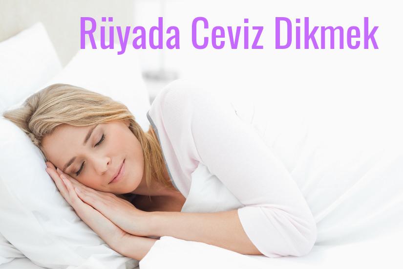 Rüyada Ceviz Dikmek Ne Anlama Gelir?