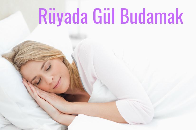 Rüyada Gül Budamak Ne Anlama Gelir?