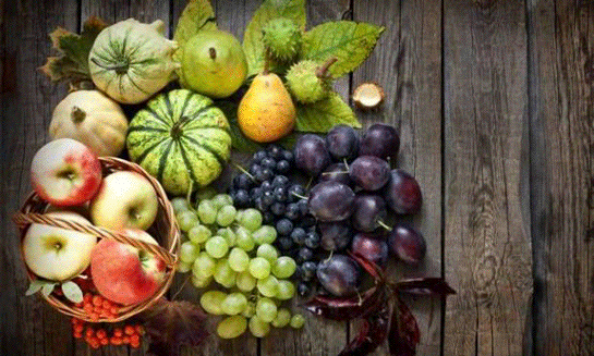 Rüyada Meyve Ağacı Görmek