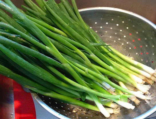 Rüyada Yeşil Soğan Görmek